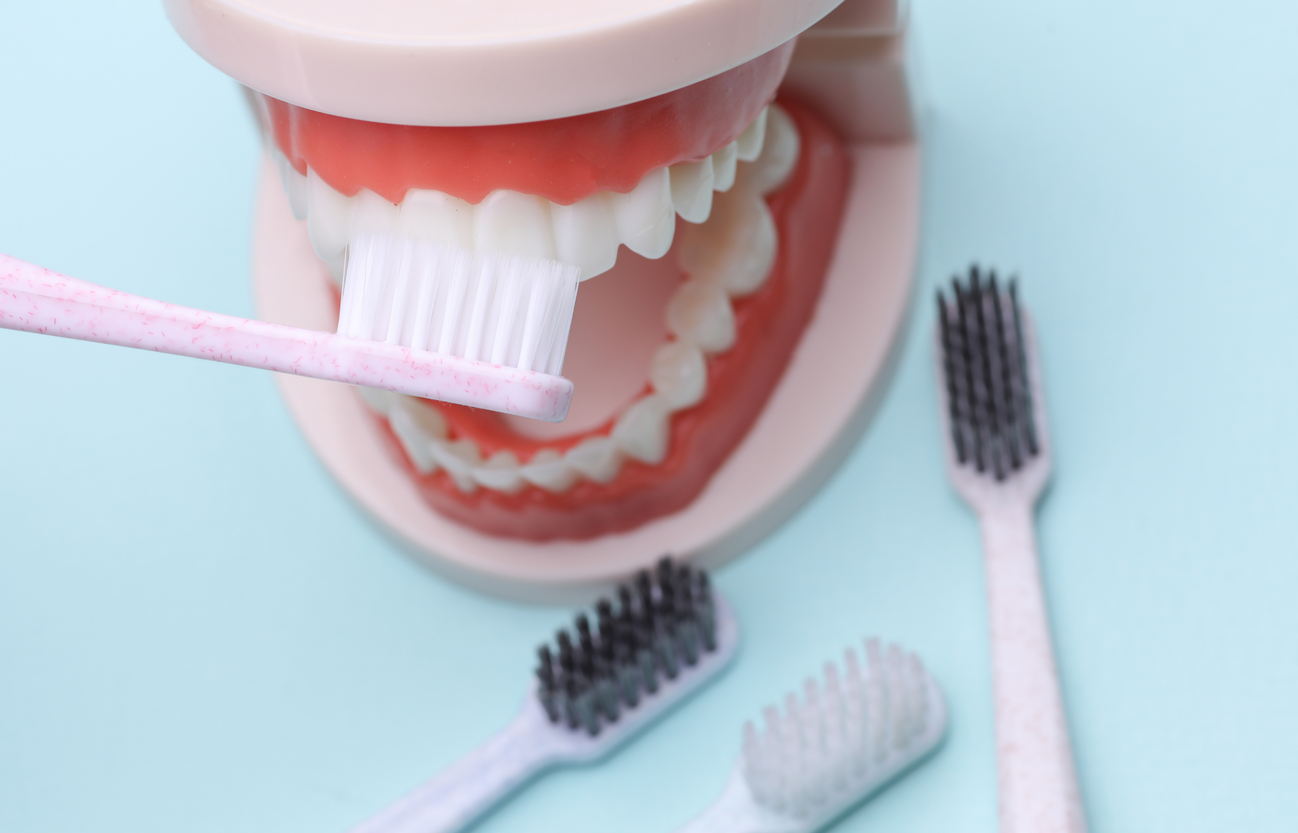 定期的なメンテナンス